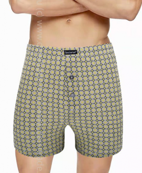 Трусы мужские GB7963 Gentlemen боксеры